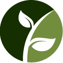 Jenson Bushes Pruning