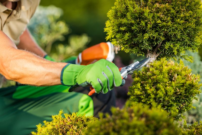 Bushes Pruning Service