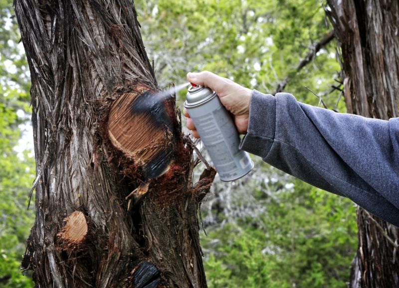 Birch Tree Pruning in Reno, NV