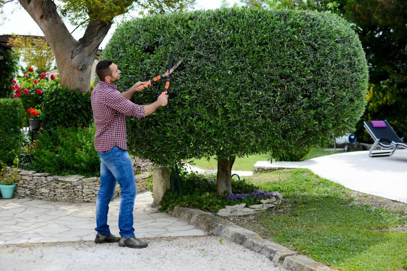 Bushes Pruning Service