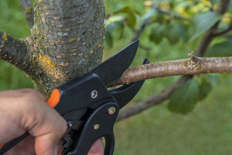 Pruning Tools and Equipment
