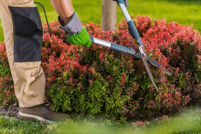 Trimming Large Shrubs