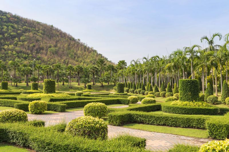 Pruned Shrubs with Clear Shapes